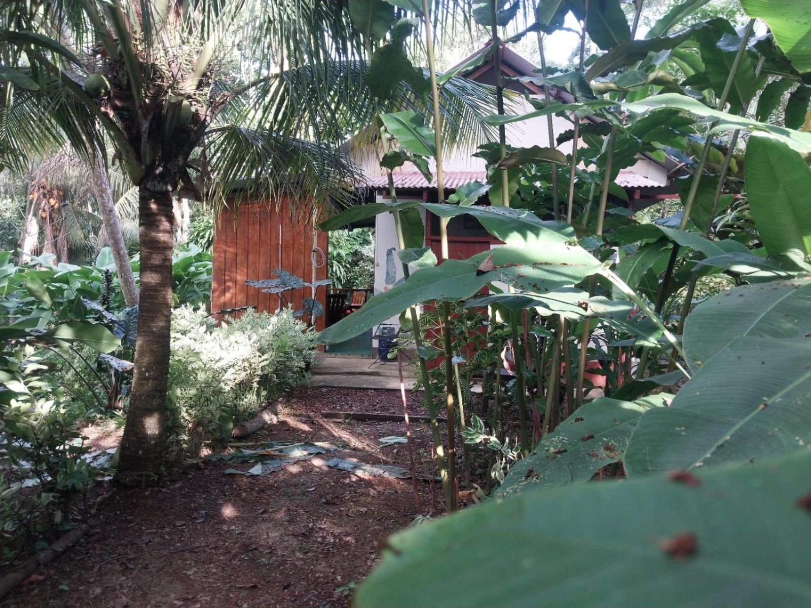 Jardin De Las Musas Puerto Maldonado Chambre photo