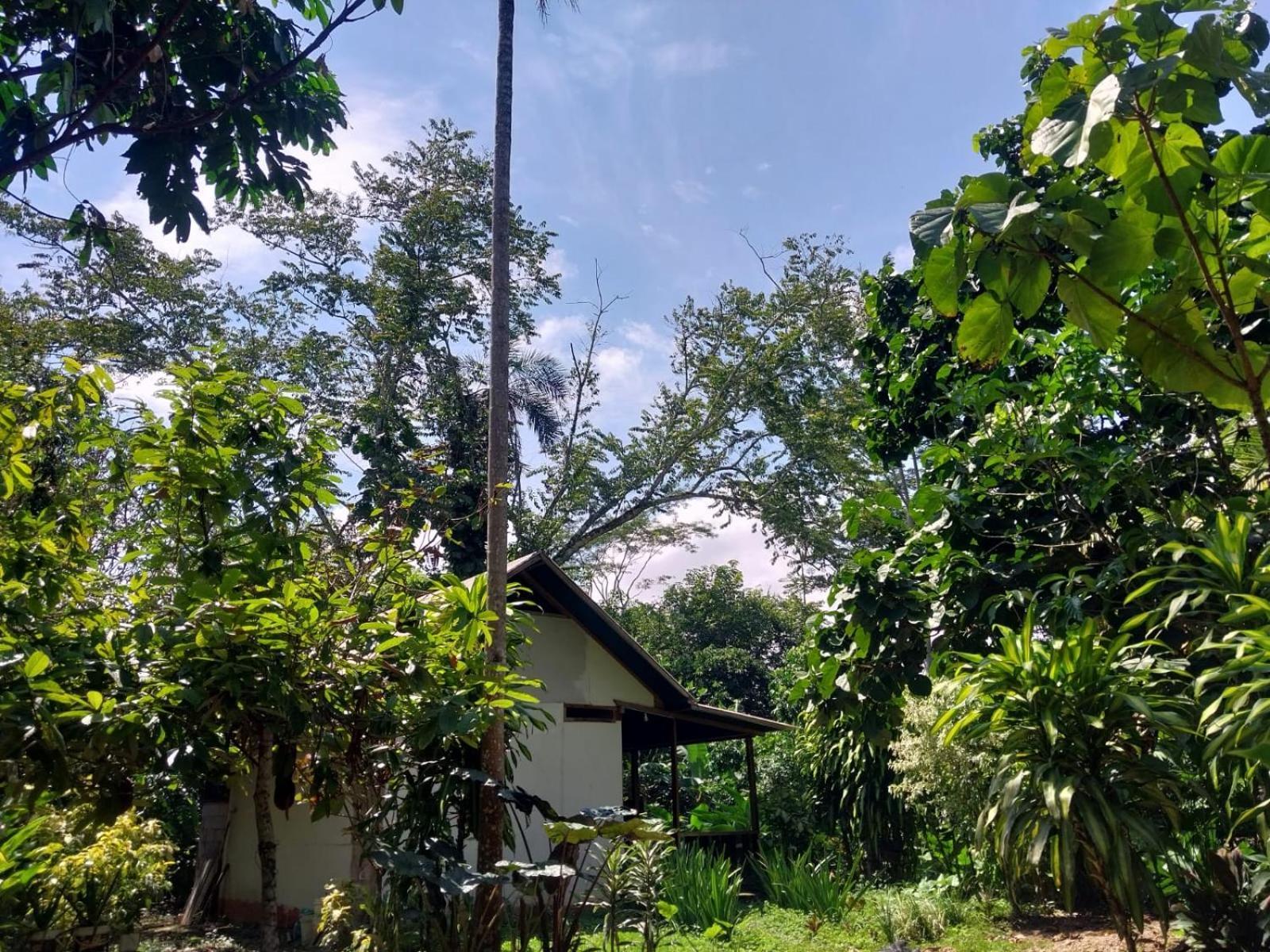 Jardin De Las Musas Puerto Maldonado Chambre photo