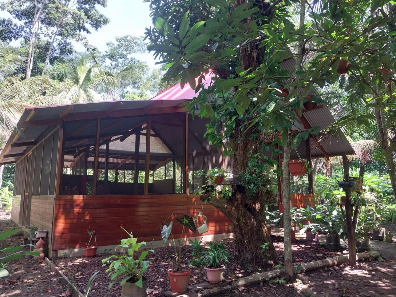 Jardin De Las Musas Puerto Maldonado Extérieur photo