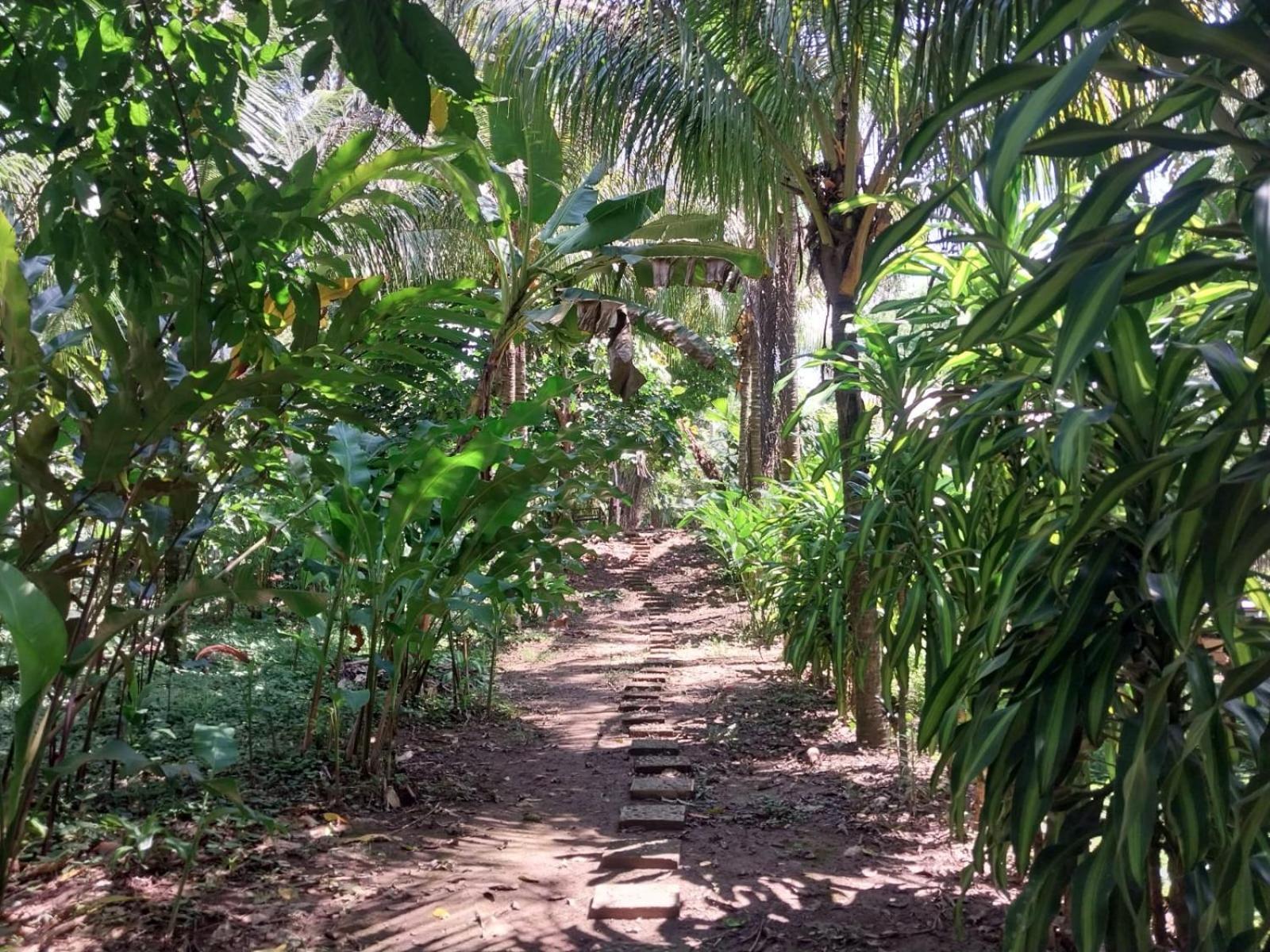 Jardin De Las Musas Puerto Maldonado Extérieur photo