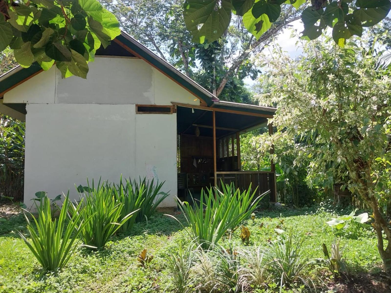 Jardin De Las Musas Puerto Maldonado Extérieur photo