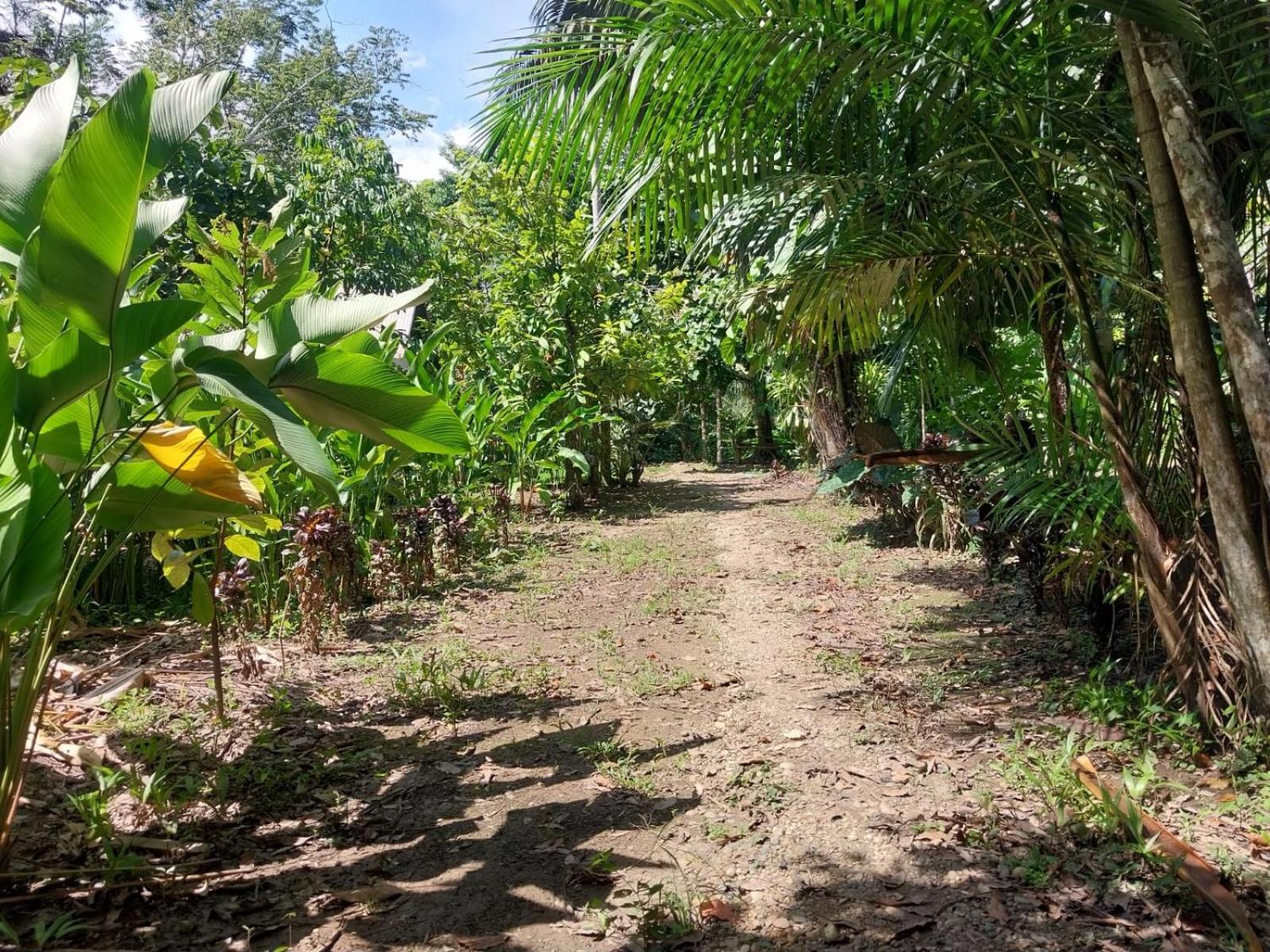 Jardin De Las Musas Puerto Maldonado Chambre photo