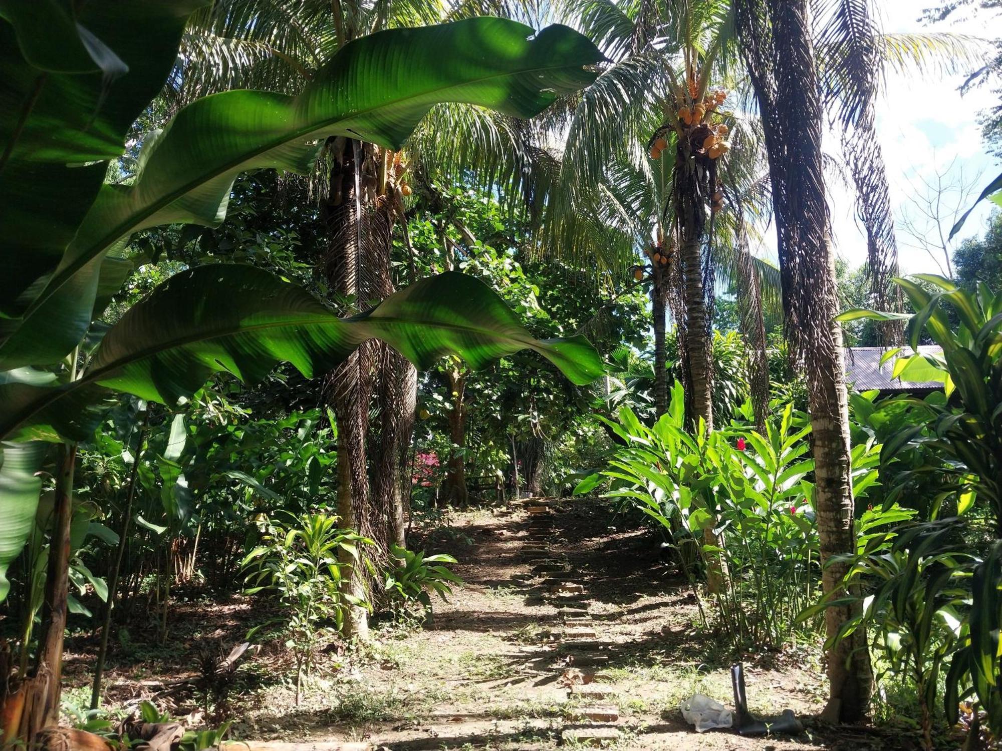 Jardin De Las Musas Puerto Maldonado Extérieur photo