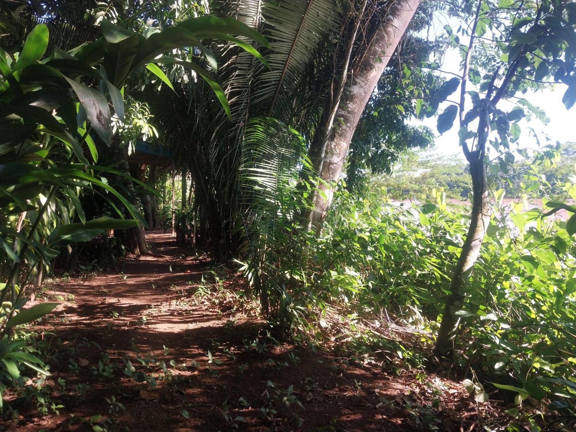Jardin De Las Musas Puerto Maldonado Chambre photo